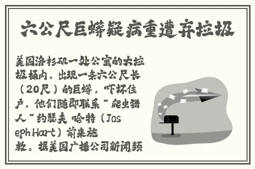 优衣库11分24秒完整视频